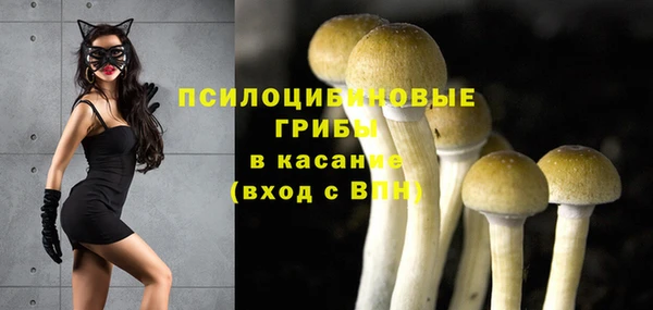 ГАЛЛЮЦИНОГЕННЫЕ ГРИБЫ Алексин