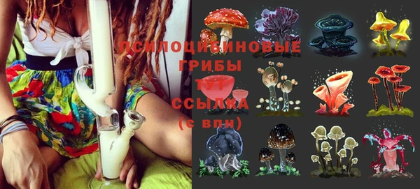 герыч Алзамай