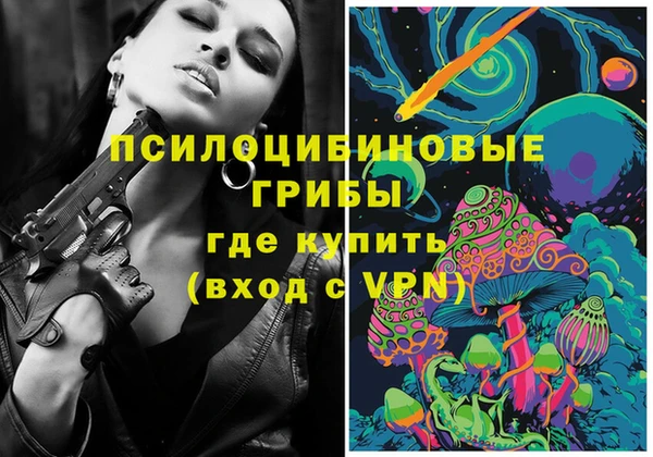 ГАЛЛЮЦИНОГЕННЫЕ ГРИБЫ Алексин