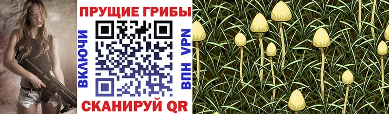 Галлюциногенные грибы мухоморы  Ипатово 