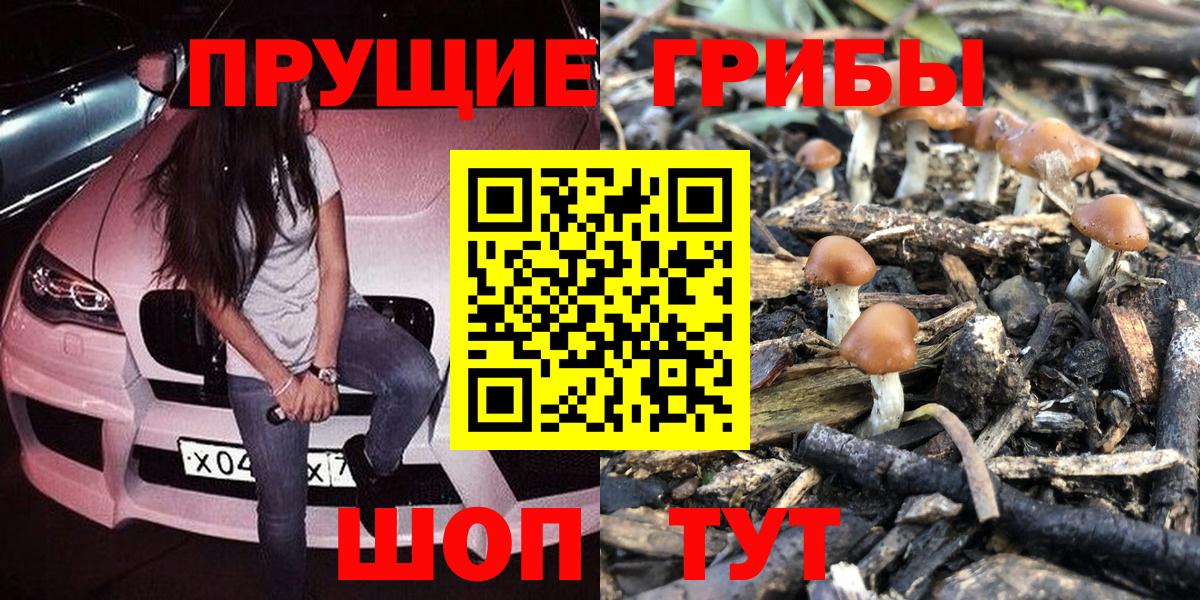 Галлюциногенные грибы мицелий  Вход с VPN  Ипатово 