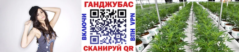 Бошки марихуана SATIVA & INDICA  сколько стоит  Ипатово 